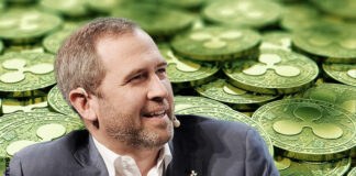 Ripple CEO Talks About the XRP Lawsuit and Other Hot Topics